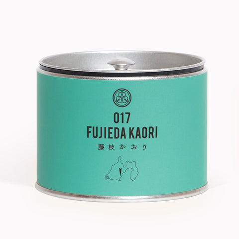 017 FUJIEDAKAORI 藤枝かおり
