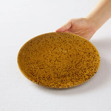 画像をギャラリービューアに読み込む, SAKUZAN 作山窯 Crater
